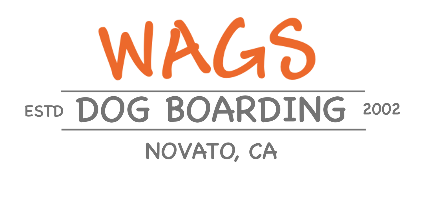 WAGS Dog Boarding - Estd 2002 - Novato, CA